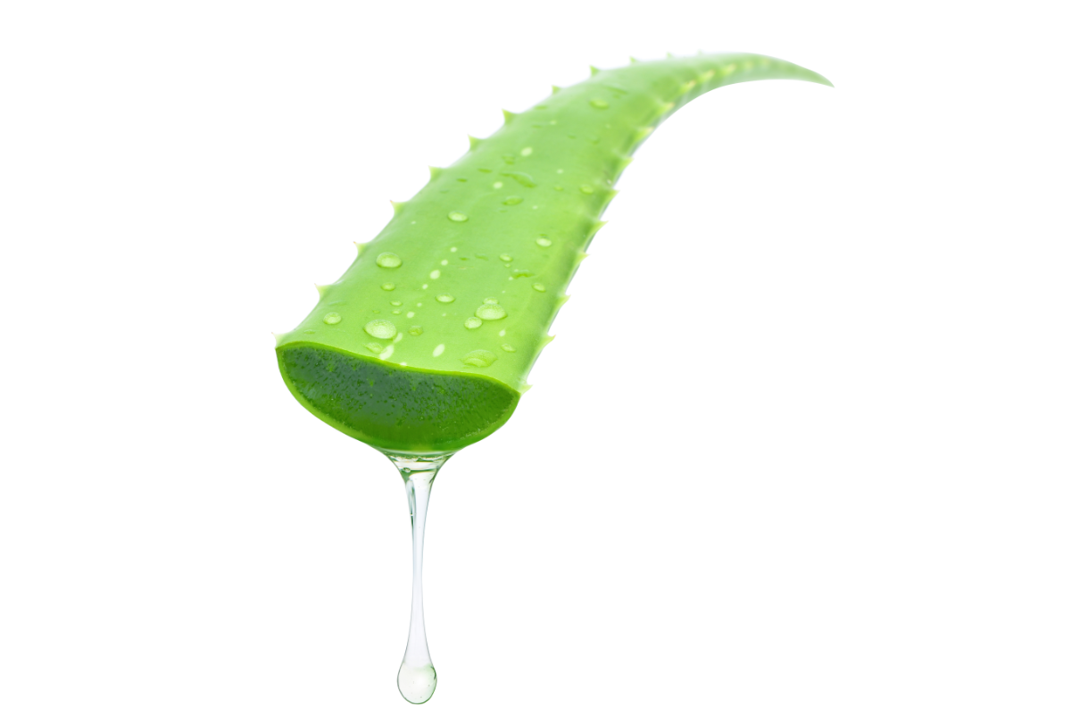 Jasmine Green Tea Face Wash QBar—Hyaluronic Acid+ Tea+ Aloe Classic